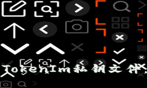 如何安全导入TokenIm私钥文件：一步一步指南