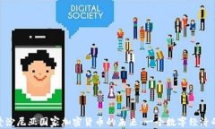 探索爱沙尼亚国家加密货币的未来：一个数字经