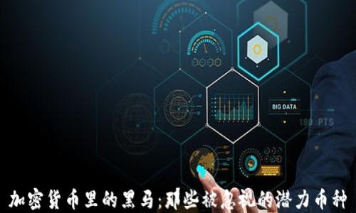 
加密货币里的黑马：那些被忽视的潜力币种