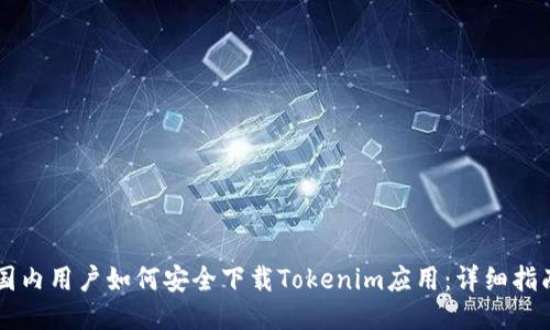 国内用户如何安全下载Tokenim应用：详细指南