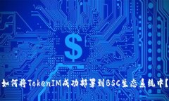 如何将TokenIM成功部署到BSC生态系统中？