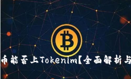 山寨币能否上Tokenim？全面解析与策略