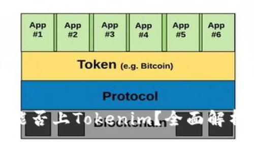 山寨币能否上Tokenim？全面解析与策略