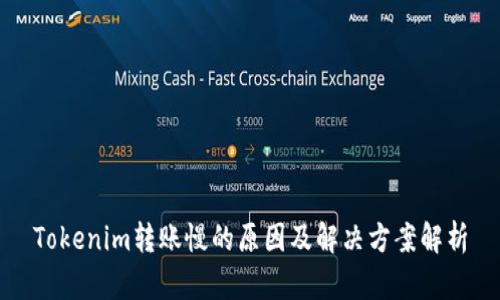 Tokenim转账慢的原因及解决方案解析