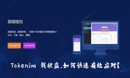 Tokenim 钱被盗，如何快速有效应对？