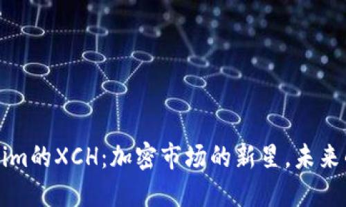 探秘Tokenim的XCH：加密市场的新星，未来的无穷潜力