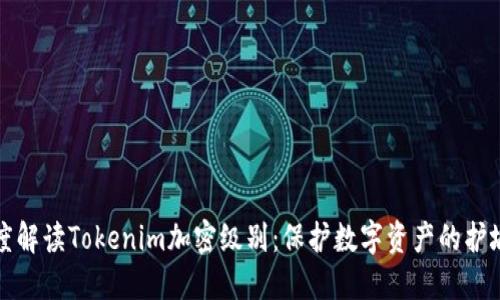 深度解读Tokenim加密级别：保护数字资产的护城河