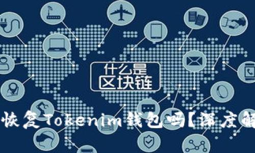 只有助记词能恢复Tokenim钱包吗？深度解析与安全指南