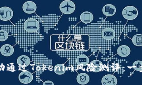 如何成功通过Tokenim风险测评：一步步指南