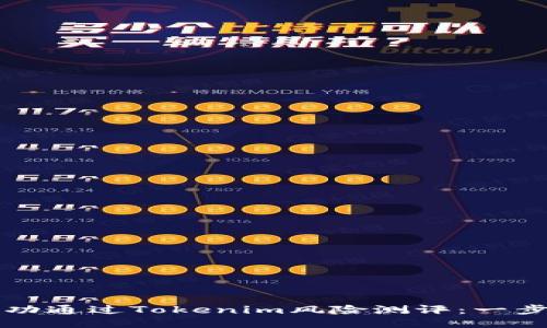 如何成功通过Tokenim风险测评：一步步指南