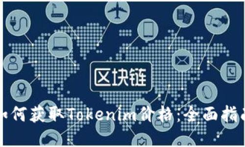 如何获取Tokenim价格：全面指南