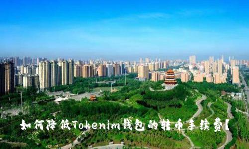 如何降低Tokenim钱包的转币手续费？