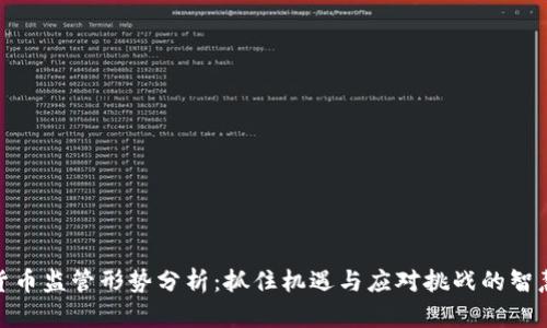 加密货币监管形势分析：抓住机遇与应对挑战的智慧之道