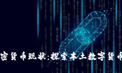 纳米比亚的加密货币现状：探索本土数字货币的创新与应用