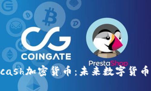 了解Hcash加密货币：未来数字货币的桥梁