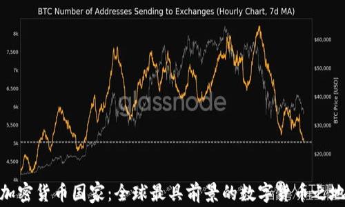 
加密货币国家：全球最具前景的数字货币之地