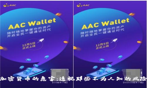加密货币的危害：透视那些不为人知的风险