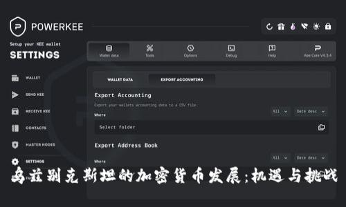乌兹别克斯坦的加密货币发展：机遇与挑战