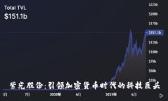 紫光股份：引领加密货币时代的科技巨头