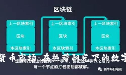 海南加密货币市场：在热带阳光下的数字财富探索