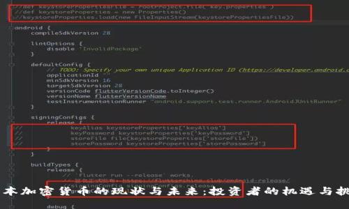 日本加密货币的现状与未来：投资者的机遇与挑战