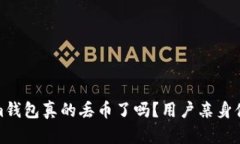 Tokenim钱包真的丢币了吗？用户亲身体验揭秘