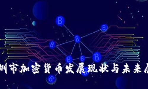 深圳市加密货币发展现状与未来展望