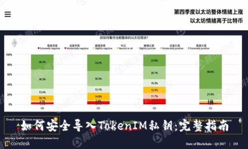如何安全导入TokenIM私钥：完整指南