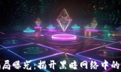 加密货币骗局曝光：揭开黑暗网络中的真相与教