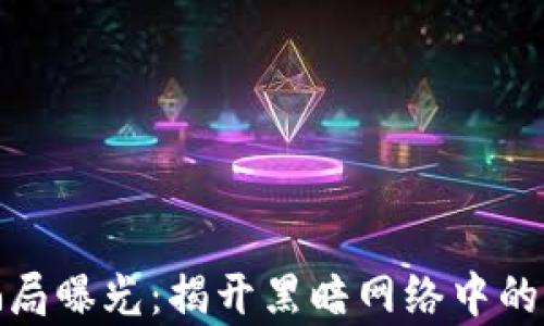 
加密货币骗局曝光：揭开黑暗网络中的真相与教训