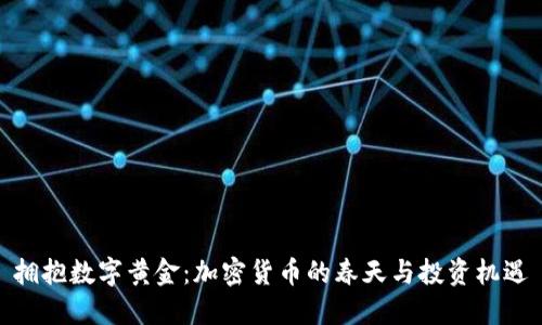 拥抱数字黄金：加密货币的春天与投资机遇