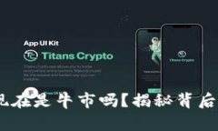 加密货币市场：现在是牛市吗？揭秘背后动态与