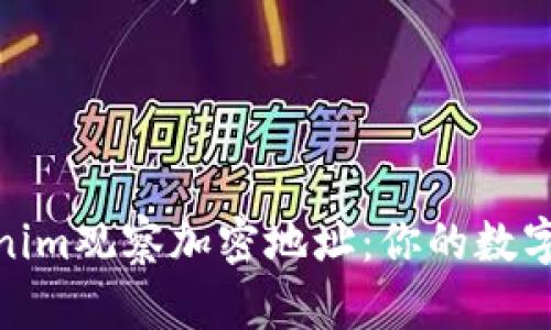 如何使用Tokenim观察加密地址：你的数字资产一览无余