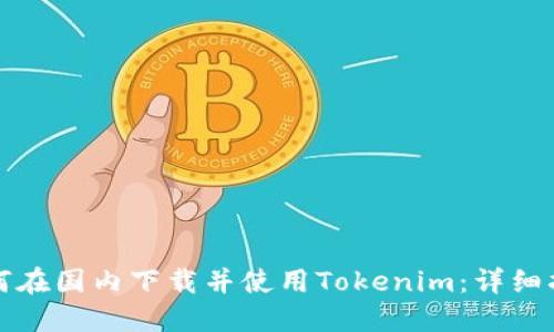 如何在国内下载并使用Tokenim：详细指南