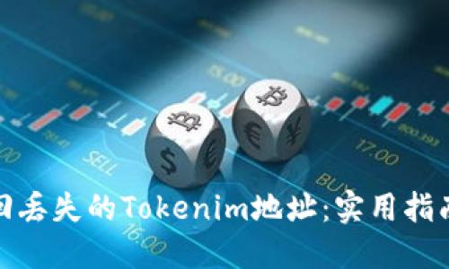 如何找回丢失的Tokenim地址：实用指南与建议