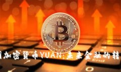 中国加密货币YUAN：未来金融的转折点
