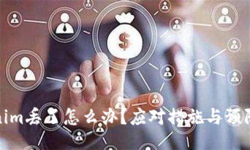 Tokenim丢了怎么办？应对措施与预防技巧