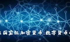 伊朗计划推出国家级加密货币：数字货币的未来