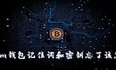 Tokenim钱包记住词和密钥忘了该怎么办？