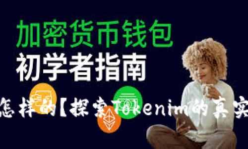 真的Tokenim是怎样的？探索Tokenim的真实特征与应用前景