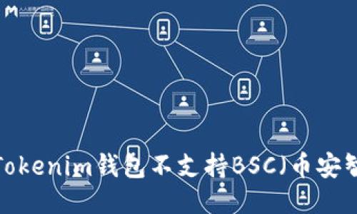 为什么Tokenim钱包不支持BSC（币安智能链）？
