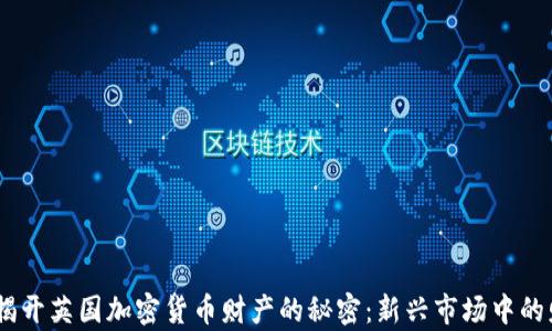 
bolaoti揭开英国加密货币财产的秘密：新兴市场中的财富潜力