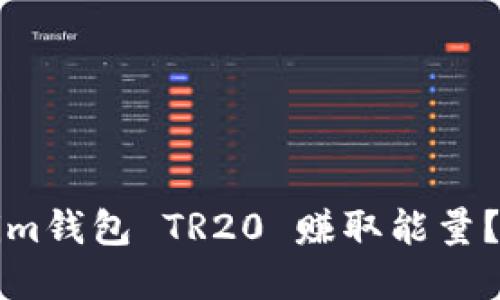 怎样通过Tokenim钱包 TR20 赚取能量？详解方法与技巧