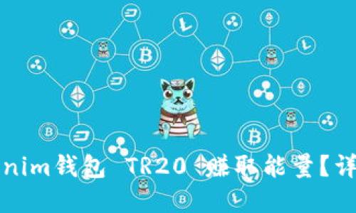 怎样通过Tokenim钱包 TR20 赚取能量？详解方法与技巧