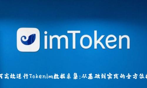 如何高效进行Tokenim数据采集：从基础到实践的全方位指南