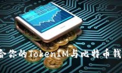 如何选择适合你的TokenIM与比特币钱包？全面指南