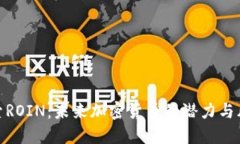 探索ROIN：未来加密货币的潜力与风险