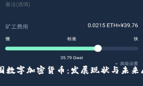 中国数字加密货币：发展现状与未来展望