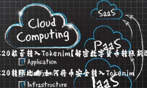 TRC20能否转入Tokenim？解密数字货币转账新选择

TRC20转账攻略：如何将币安全转入Tokenim