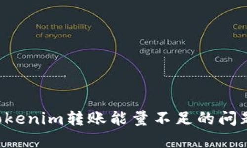 如何解决Tokenim转账能量不足的问题：全面指南